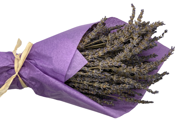 Dried Lavender Bundle
