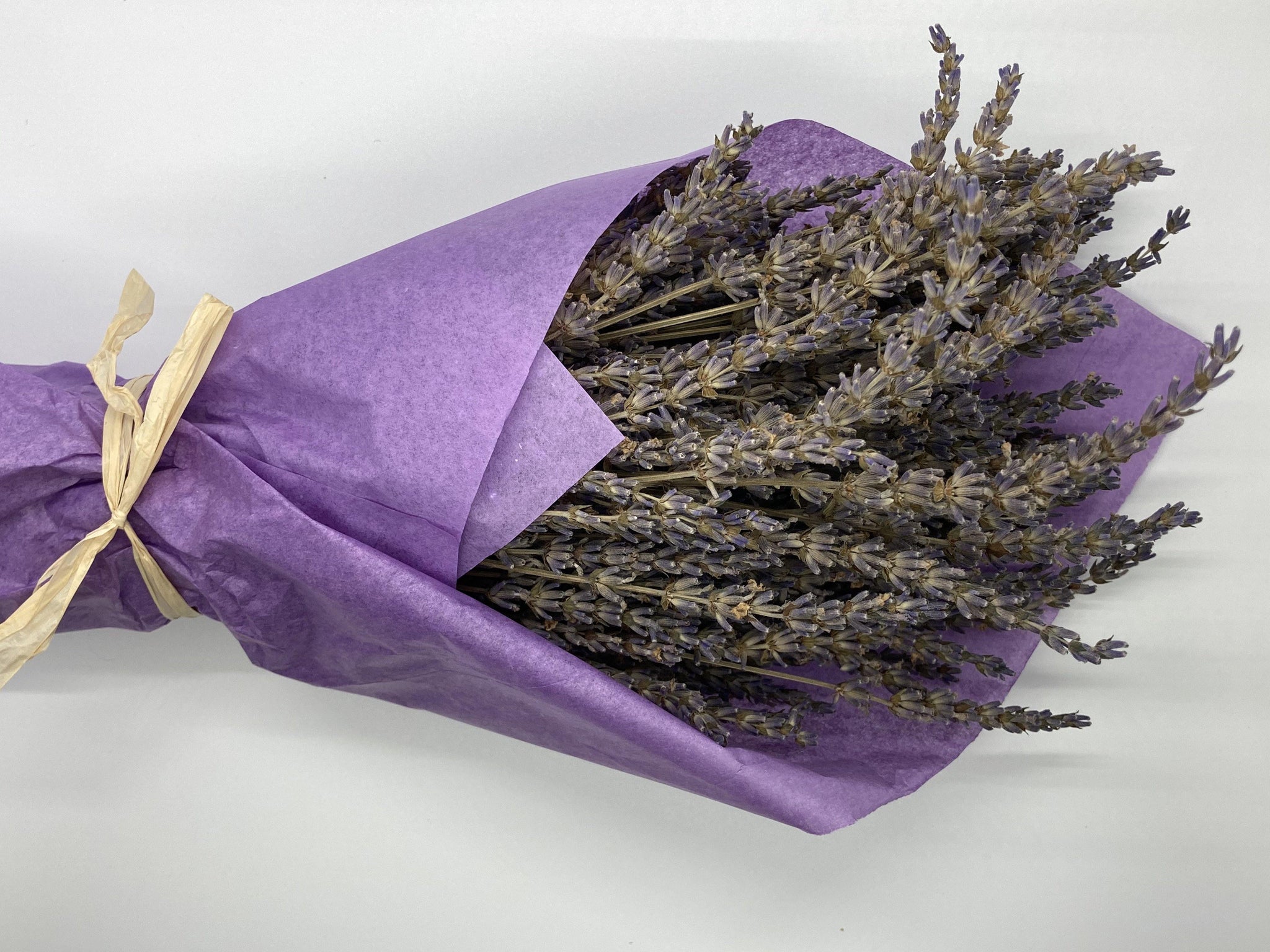 Dried Lavender Bouquets - English