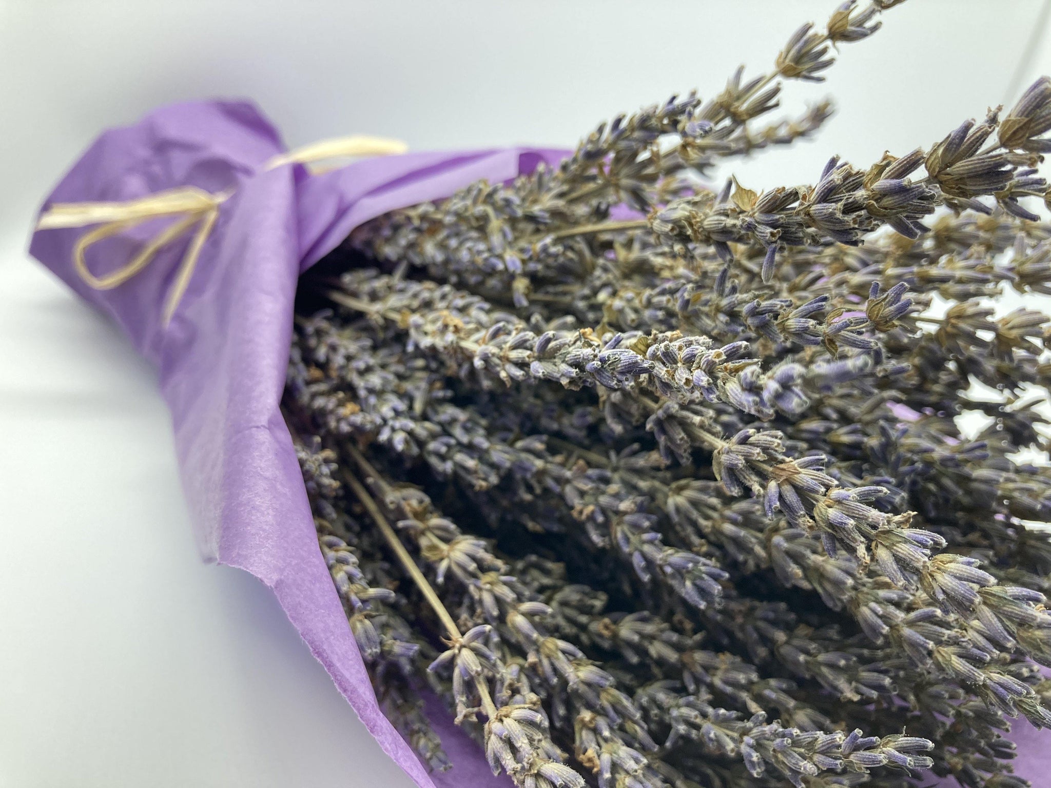 Dried Lavender Bundle – Dream Weavers Farm