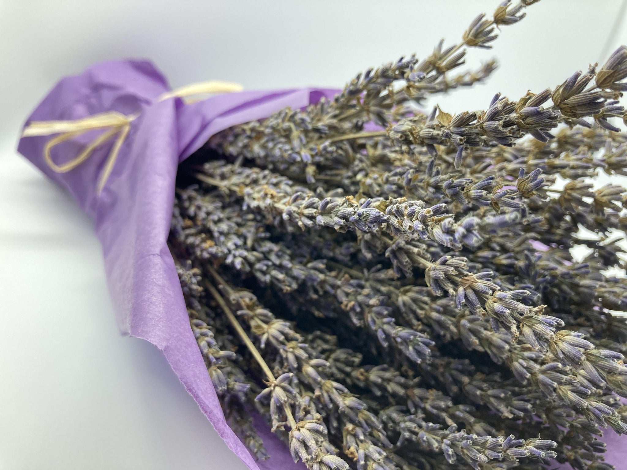 Dried Lavender Bundle