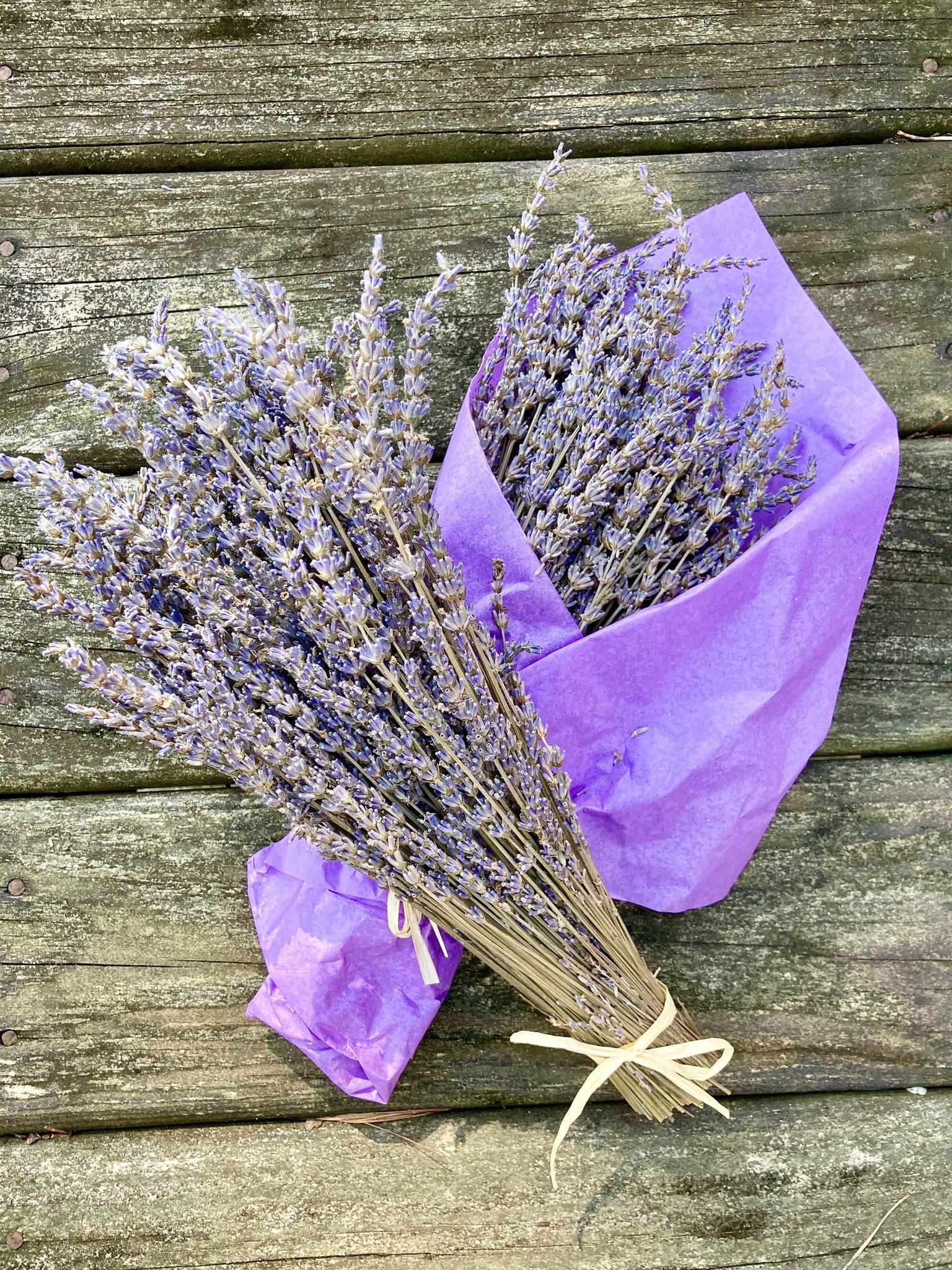 Dried Lavender Bundle