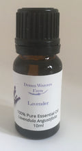 Load image into Gallery viewer, Lavender Essential Oil
